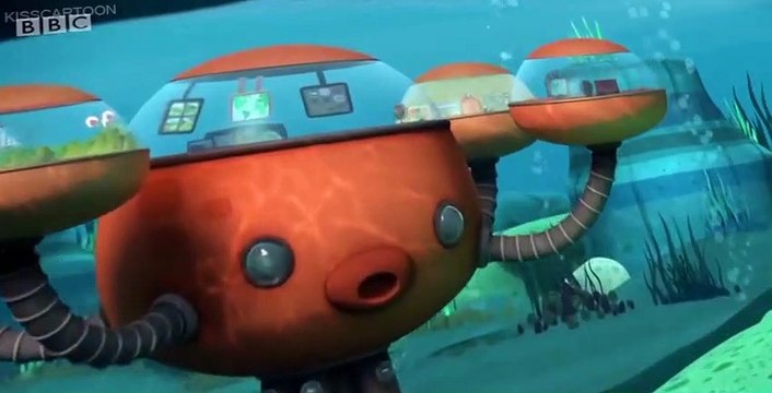 The Octonauts The Octonauts S04 E005 – The Walrus Pups