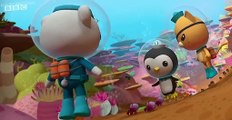 The Octonauts The Octonauts S04 E006 – The Mantis Shrimp