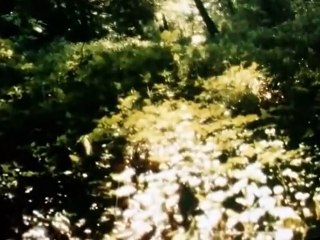 The Wind in the Willows The Wind in the Willows E021 – Harvest