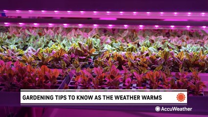 When should you start your garden this spring?