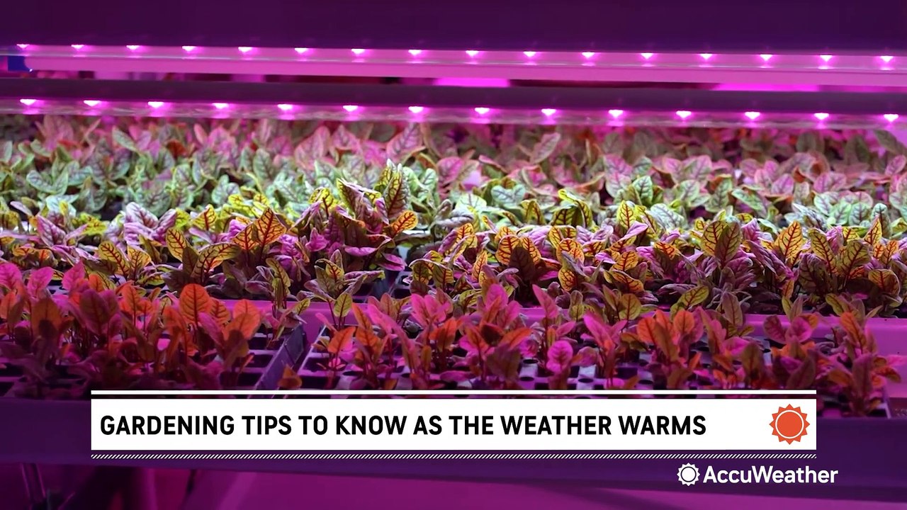 When should you start your garden this spring?