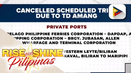 Ilang pantalan, nagkansela ng biyahe sa harap ng banta ng bagyong #AmangPH