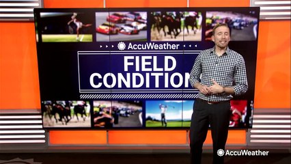 Your mid-April sports forecast