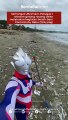 Semangat Ultraman!, Petugas dan relawan gotong royong dalam melakukan kegiatan bersih-bersih di Pantai Kuta, Rabu (12/4) pagi