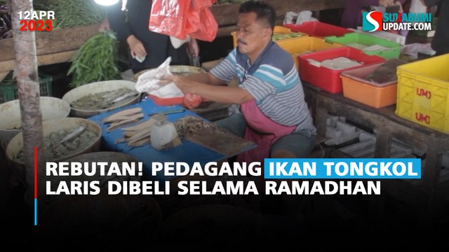 Rebutan! Pedagang Ikan Tongkol Laris Dibeli Selama Ramadhan