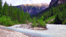 River Melodies: 1 Hour of Calming Mountain River Sounds