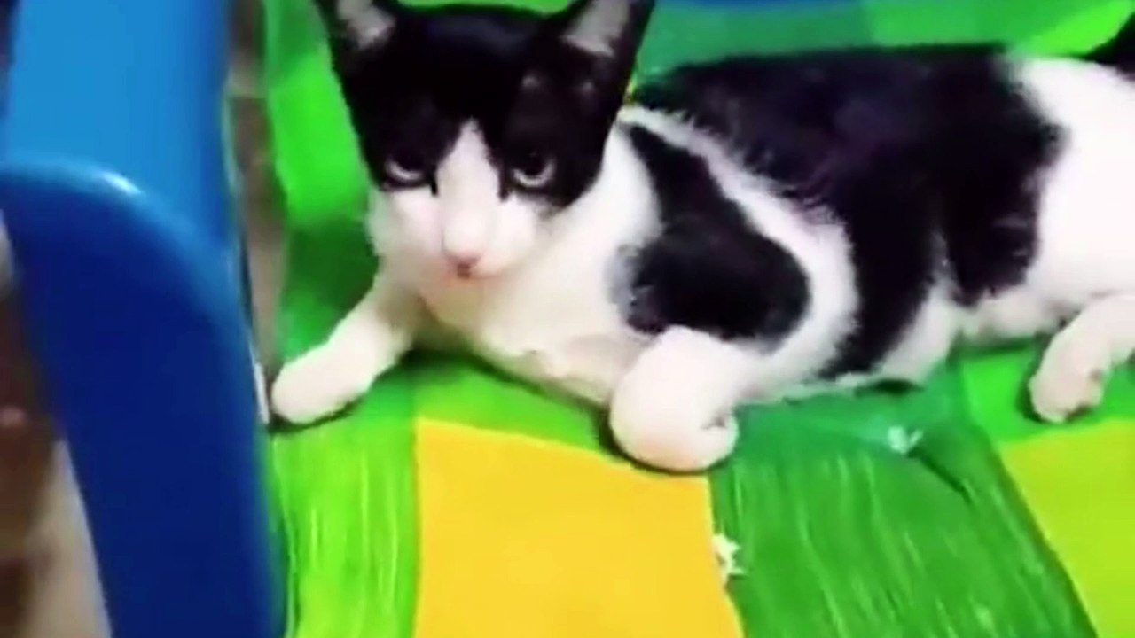 Try to watch without smile