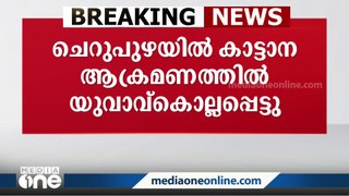 കണ്ണൂര്‍ ചെറുപുഴയിൽ കാട്ടാന ആക്രമണത്തിൽ യുവാവ് കൊല്ലപ്പെട്ടു