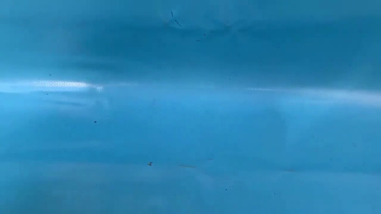 Farming is Science. Process of Growing Fresh Vegetables in Green House by Cultivation Scientists.