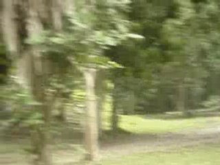 Du lac Atitlan à Tikal