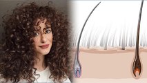 बाल घुंघराले क्यों होते हैं | घुंघराले बाल का कारण | Hair Curly Hone Ka Karan | Boldsky
