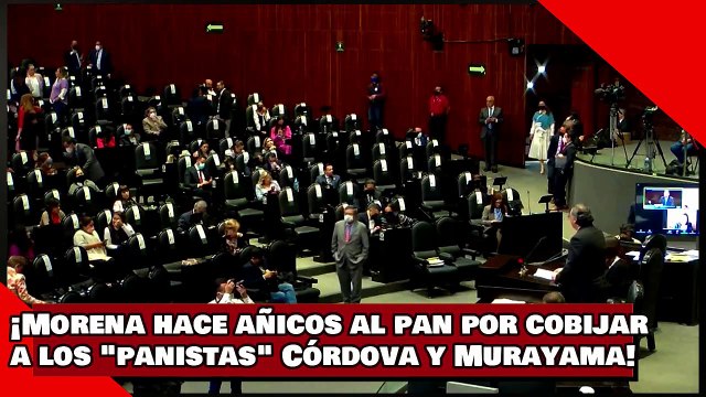 ¡VEAN! ¡Morena hace añicos al pan por cobijar a los 'panistas' Córdova y Murayama!