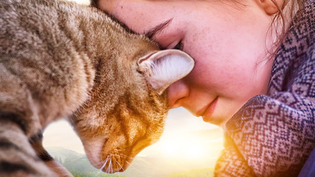 Lou - Abenteuer auf Samtpfoten - Trailer (Deutsch) HD