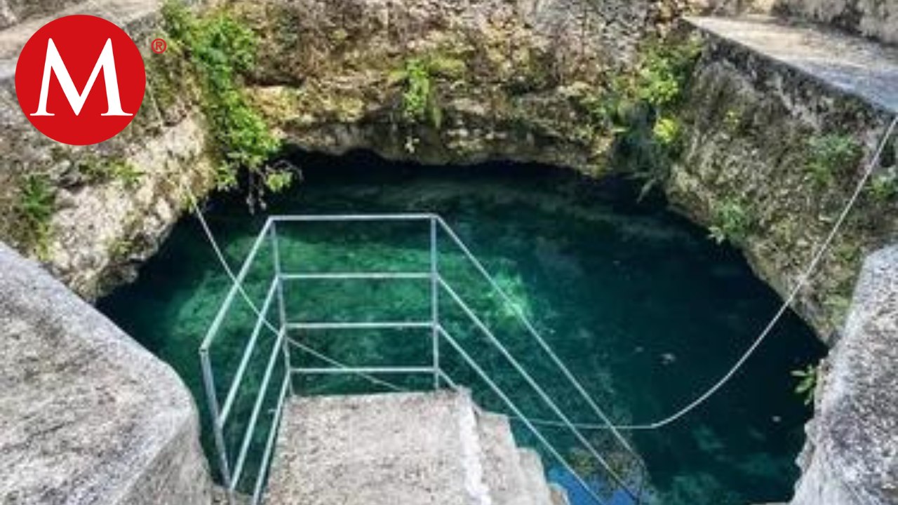 Quinta el gato', el cenote que una familia descubrió en el patio de su casa en Yucatán