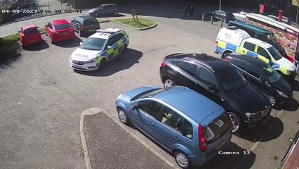 Footages shows police storming Essex pub and seizing golliwog dolls after hate crime complaint