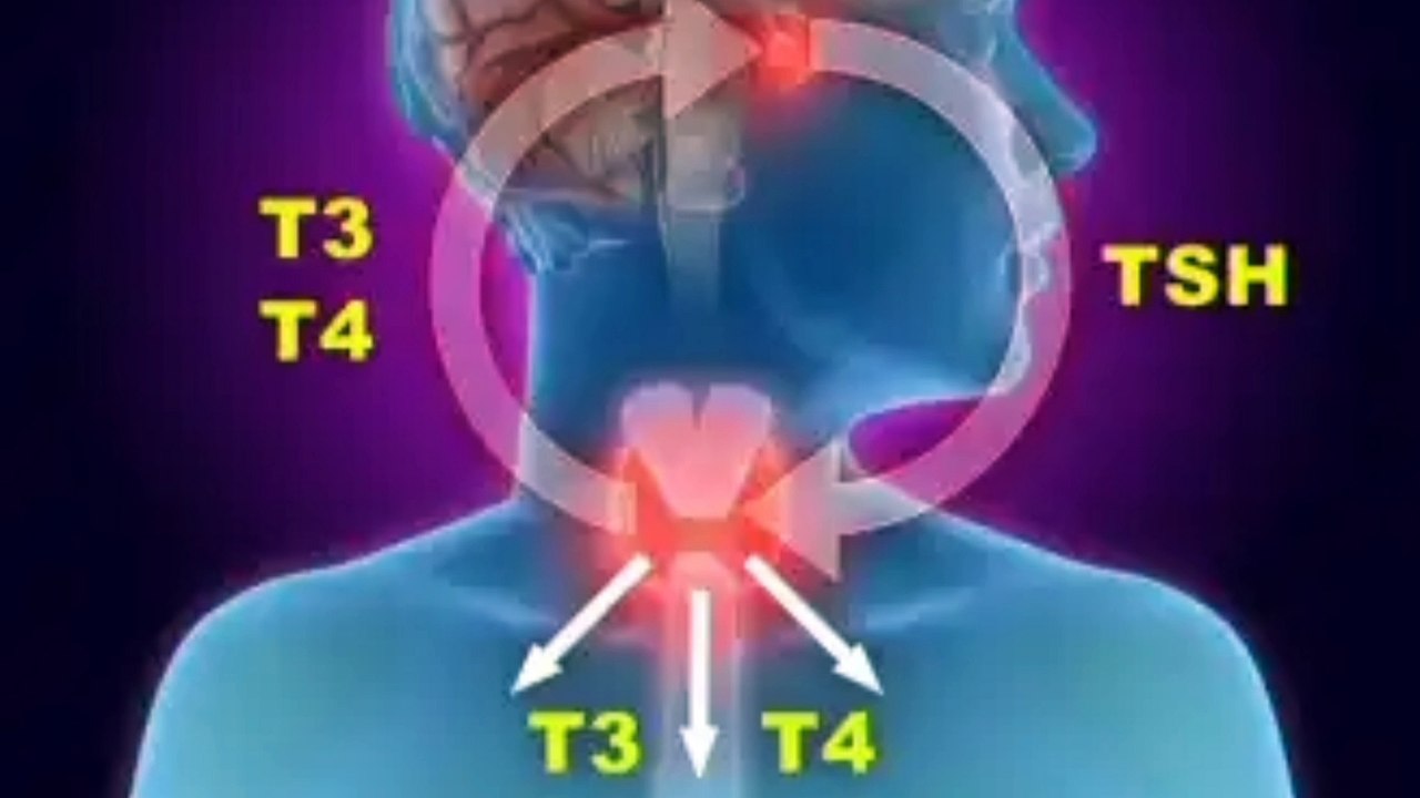 thyroid real cause | What happens in the thyroid? | thyroid kio hota hai@rahmancare