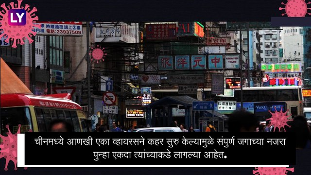 H3N8 बर्डफ्लूमुळे एका महिलेचा मृत्यू, चीनमध्ये आणखी एका व्हायरसने वाढवली चिंता