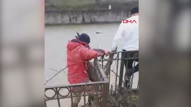 Derede mahsur kalan karca kurtarıldı