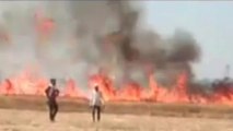 देवरिया: अज्ञात कारणों से खेत में लगी आग, धू धू कर जली कई एकड़ गेंहू की खड़ी फसल