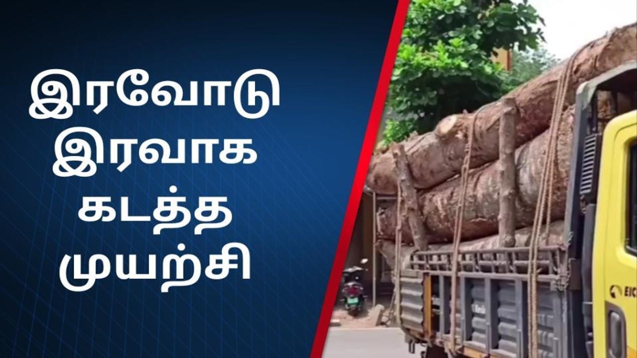 குமரி: இரவோடு இரவாக கடத்த முயன்ற அயனி மரங்கள் - பறிமுதல்