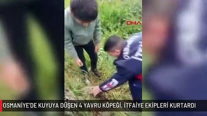 OSMANİYE'DE KUYUYA DÜŞEN 4 YAVRU KÖPEĞİ, İTFAİYE EKİPLERİ KURTARDI