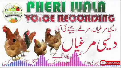 Desi Murgi, Pathia, Pathe  Bechne Ki Awaz - Pheri Wala Voice Recording 2023