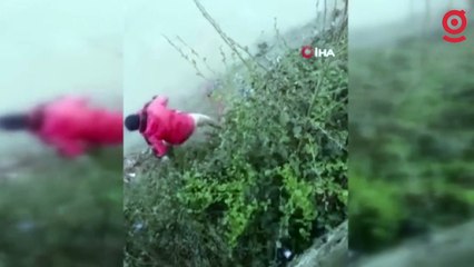 Trabzon'da dereden karaca kurtarma operasyonu