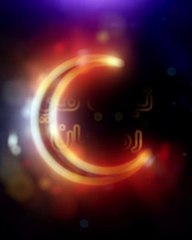 أصول وأخلاقيات القيادة بين السائقين والمارة على الطريق