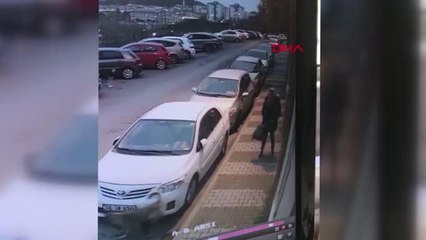 Başıboş köpekler mahalle sakinlerinin kabusu