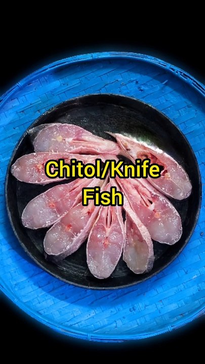 CLown Knife Fish Curry recipe