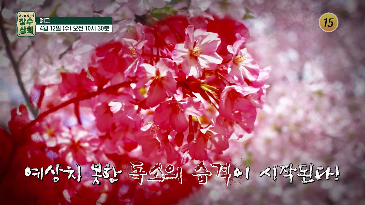 중년 건강을 되찾는 특별한 독소 해독법!_장수상회 37회 예고 TV CHOSUN 230412 방송