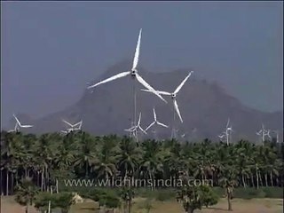 Tamil Nadu - An abundant source of wind energy resources