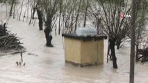 Yoğun yağış nedeni ile Tağar çayı taştı, bağ evleri ve araziler su altında kaldı