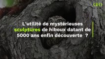 L'utilité de mystérieuses sculptures de hiboux datant de 5000 ans enfin découverte ?
