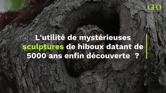 L'utilité de mystérieuses sculptures de hiboux datant de 5000 ans enfin découverte ?