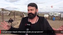 Uzman Kangal Yetiştiricisi ve Eğitmeni Hüseyin Yıldız: 