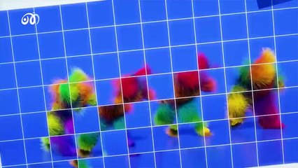  تحدي لانا مع نورمار كيف صرفت لانا كل مصرياتها بساعة واحدة