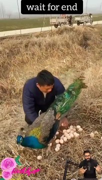 Tranding Tranding Videos Today Tranding Shorts #tranding #trandingshorts #shorts #viral 12-4-23 (3)