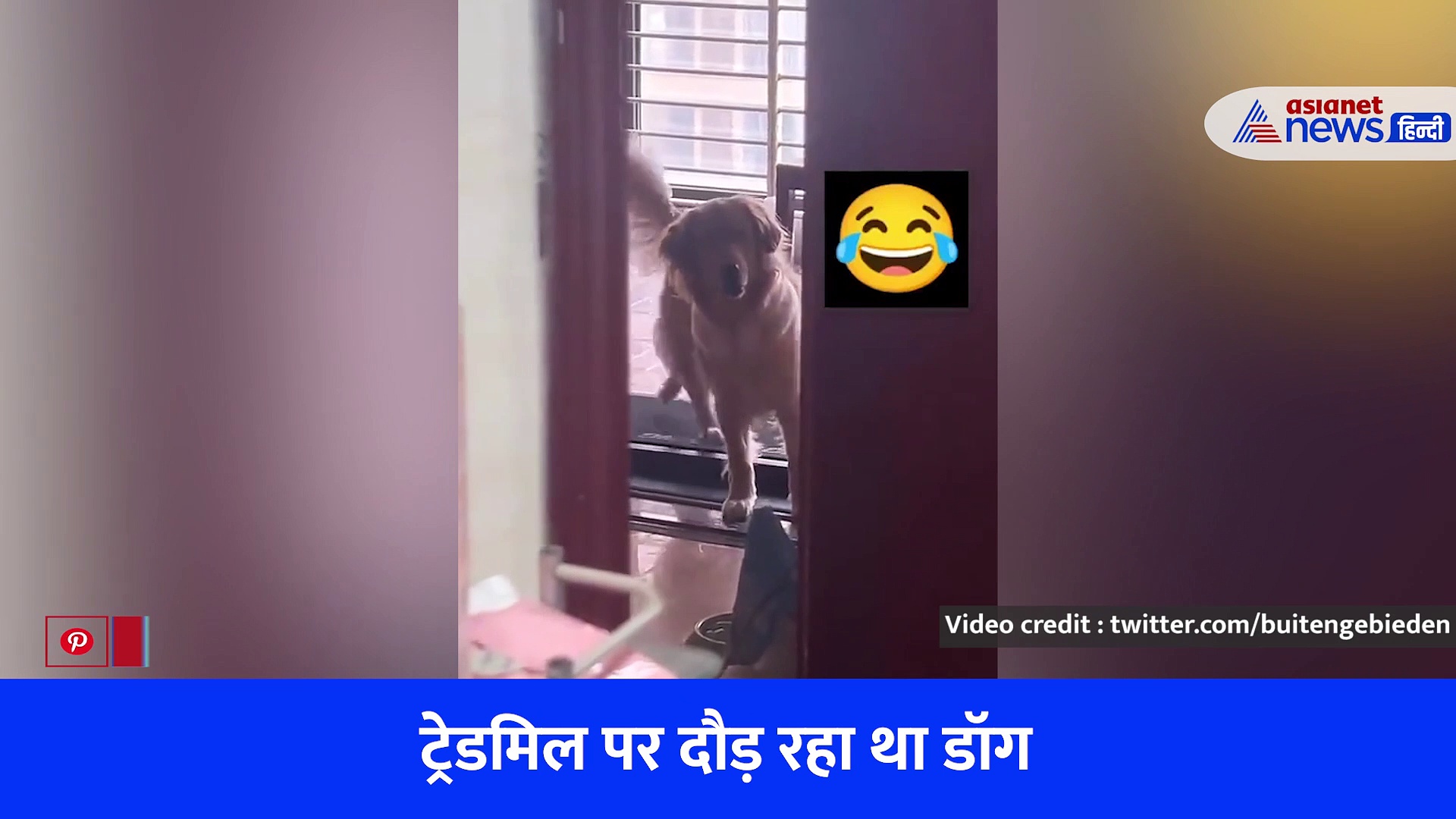 Funny Video : ट्रेडमिल पर डॉग कर रहा था एक्सरसाइज, ध्यान भटका तो करने लगा ऐसी हरकत कि देखते रह जाएंगे