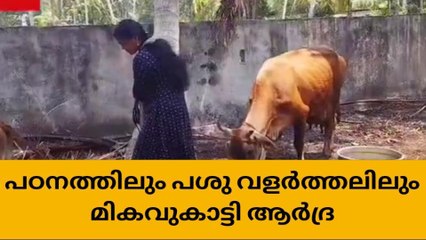 പശു വളർത്തൽ മാത്രമല്ല പഠനത്തിൽ റാങ്കിന്റെ തിളക്കവുമായി ആർദ്ര