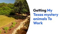 Getting My Texas mystery animals To Work