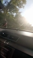 Horse Blocks Road And Gets Pushed Out Of The Way