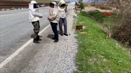 Kovan yüklü kamyonet devrildi; arılar yola saçıldı