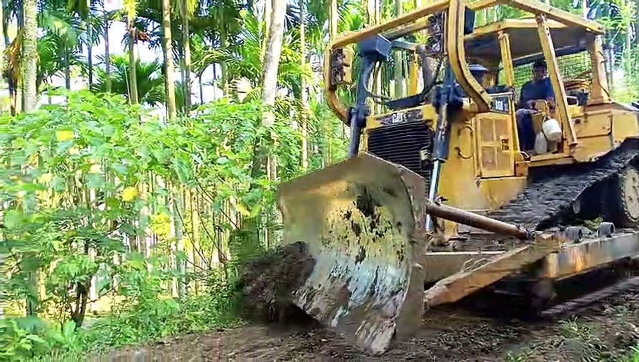 Areca Nut Tree Plantations: The Role of Bulldozers in Road Construction || Caterpillar Bulldozer