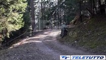 Video News - ORSI IN VALLE CAMONICA, NESSUN AVVISTAMENTO