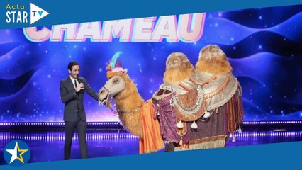 Mask Singer 5 : quelles célébrités se cachent sous le costume du Chameau ? Découvrez tous les indice
