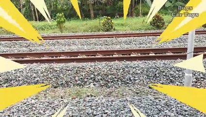 Found Lots of Toys Along the Railroad Tracks