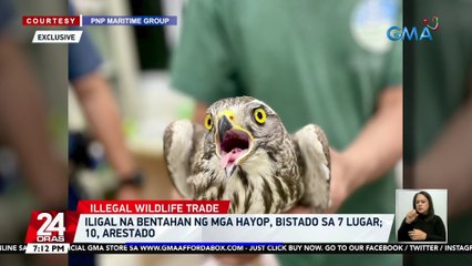 Iligal na bentahan ng mga hayop, bistado sa 7 lugar; 10, arestado | 24 Oras
