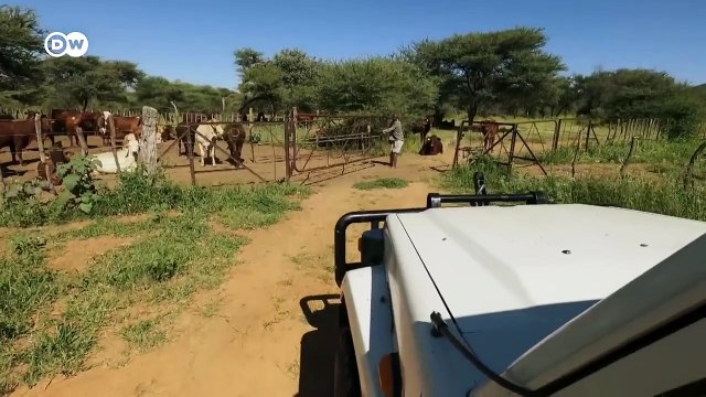 Rich and poor - Inequality in Namibia _ DW Documentary