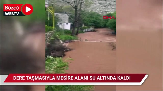 Midyat’ta sağanak; dere taşmasıyla mesire alanı su altında kaldı